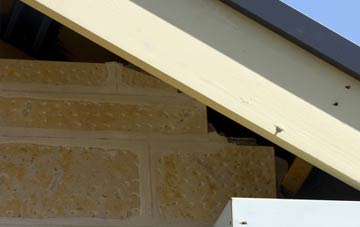 soffit repair The Point