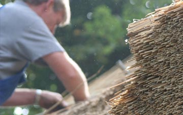 professional The Point thatchers