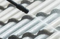 rated The Point roof cleaning companies